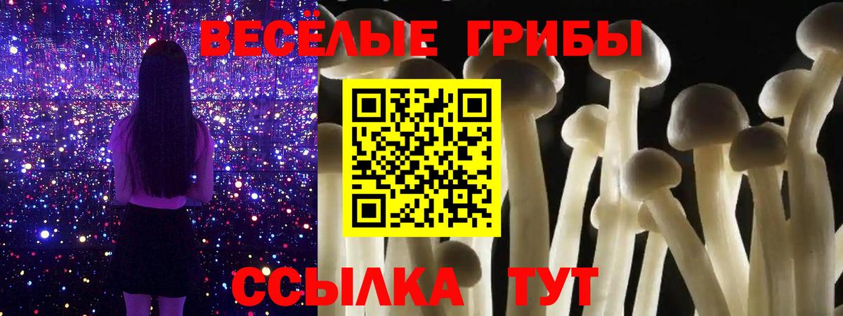 Качканар  Псилоцибиновые грибы Psilocybine cubensis  как найти   Галлюциногенные грибы ЛСД  Вход с VPN 