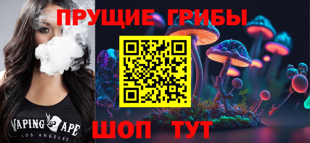 Галлюциногенные грибы Cubensis Качканар
